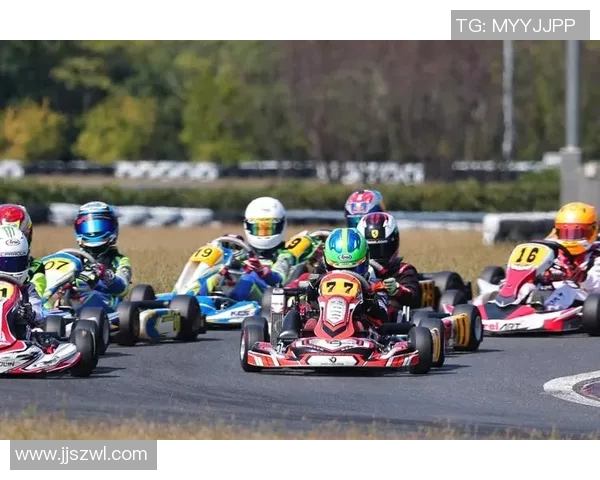 F1车手心理素质与赛场表现的关系研究 F1车手心理素质与赛场表现的关系研究